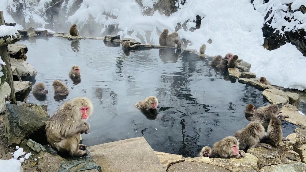 楽奇温泉旅館 松本・軽井沢