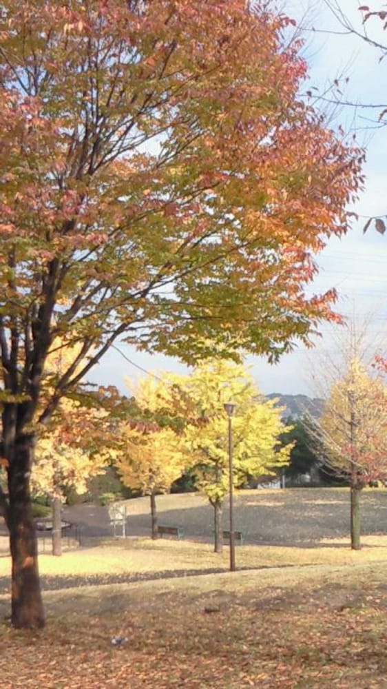 IKEDA ライフ館 松本・軽井沢