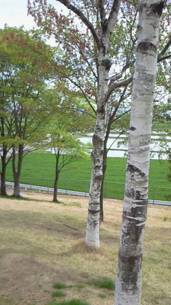 IKEDA ライフ館 松本・軽井沢
