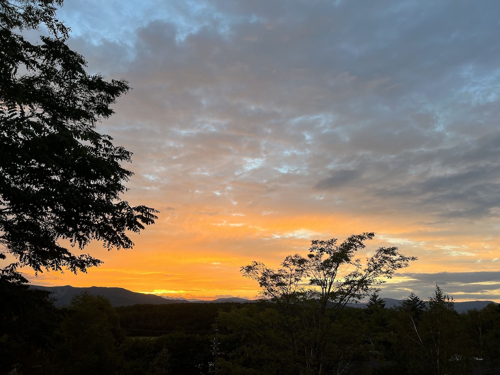 ペンション ワイルドフラワー 松本・軽井沢