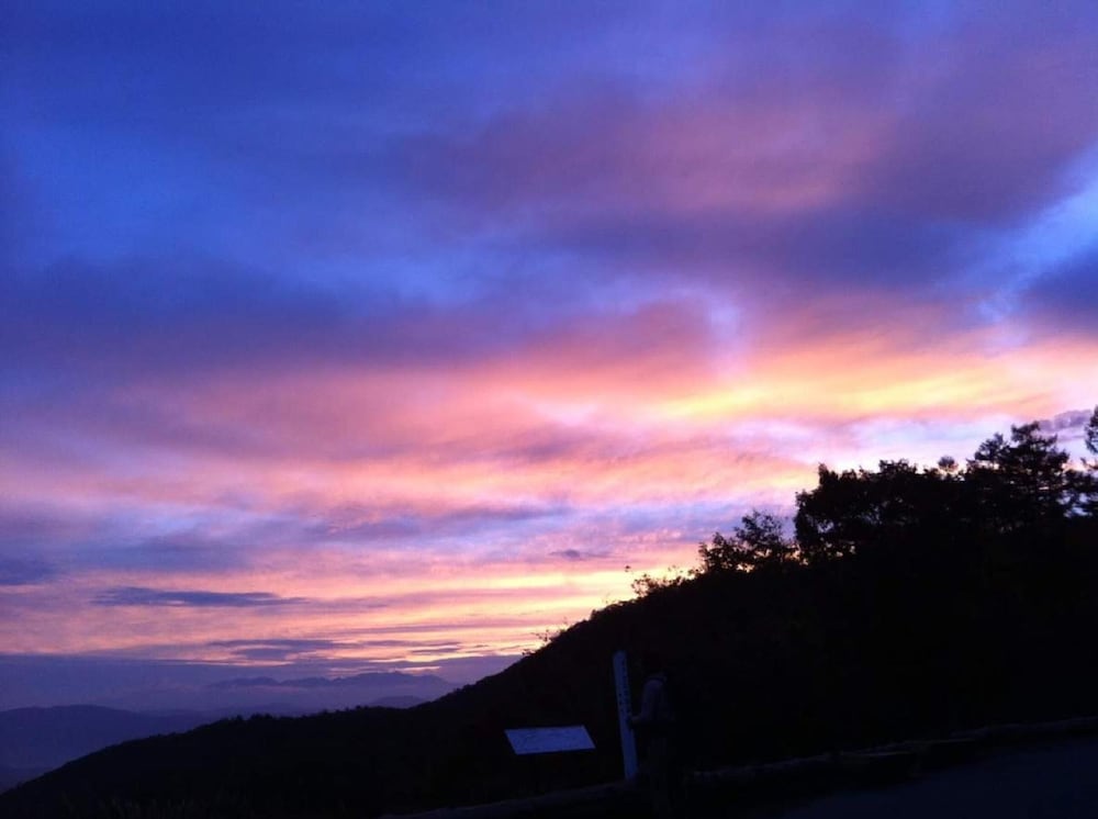 ペンション ワイルドフラワー 松本・軽井沢