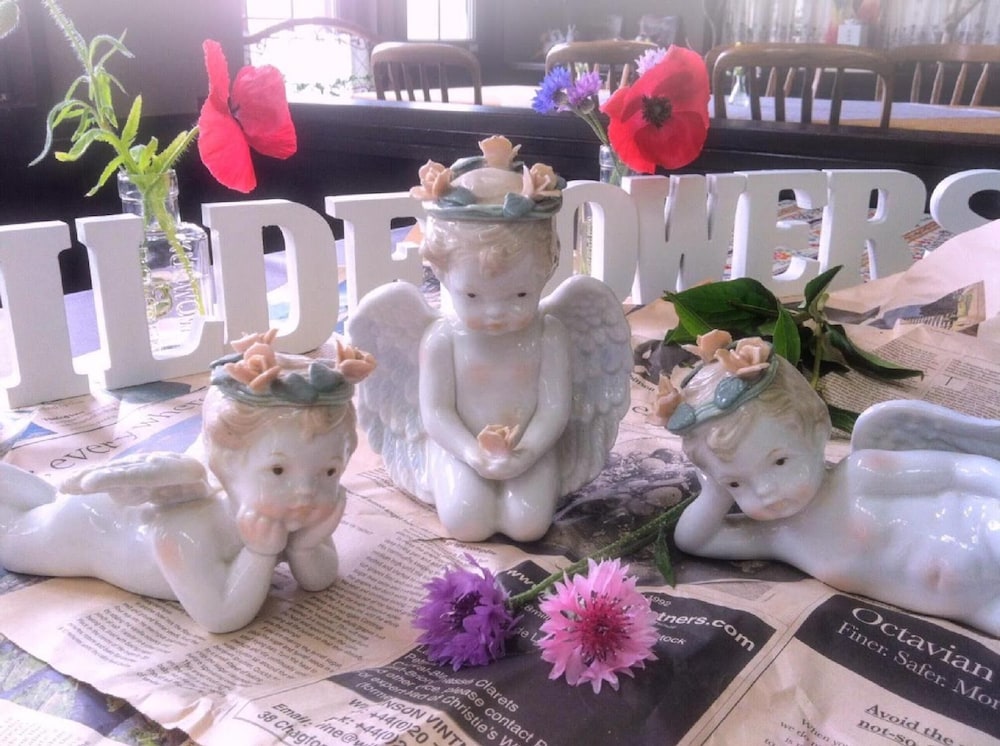 ペンション ワイルドフラワー 松本・軽井沢