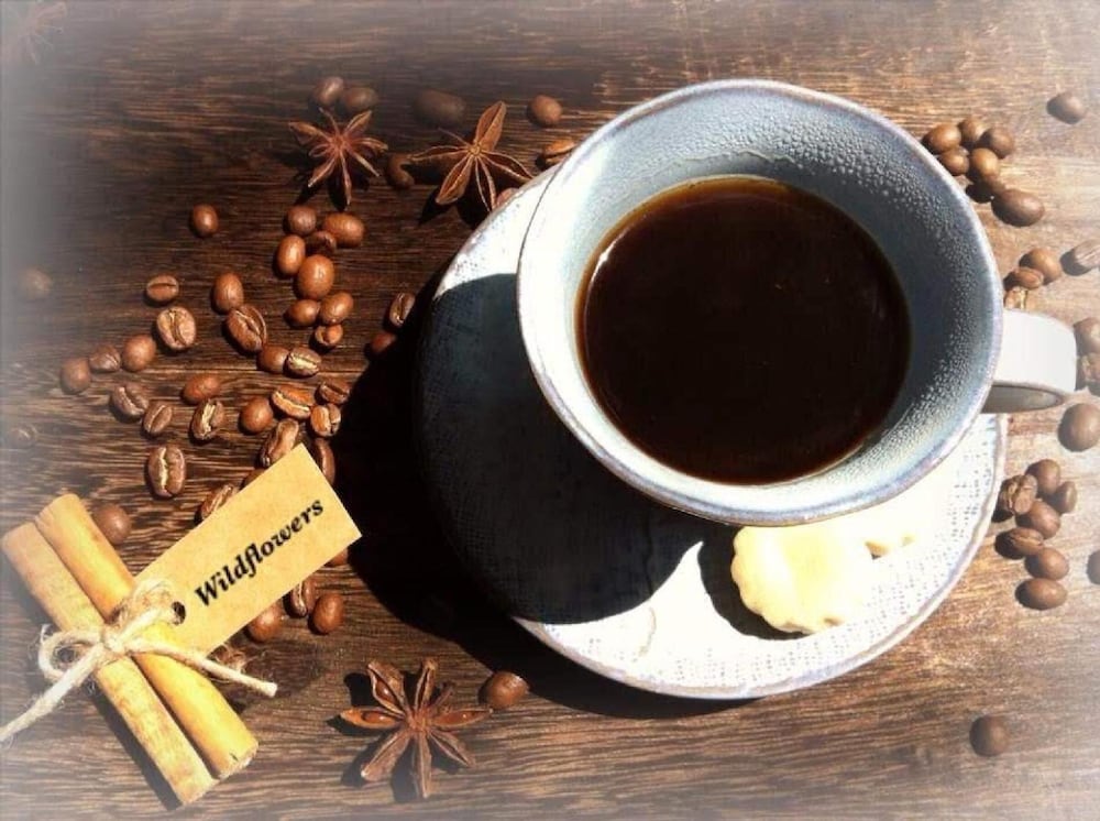 ペンション ワイルドフラワー 松本・軽井沢