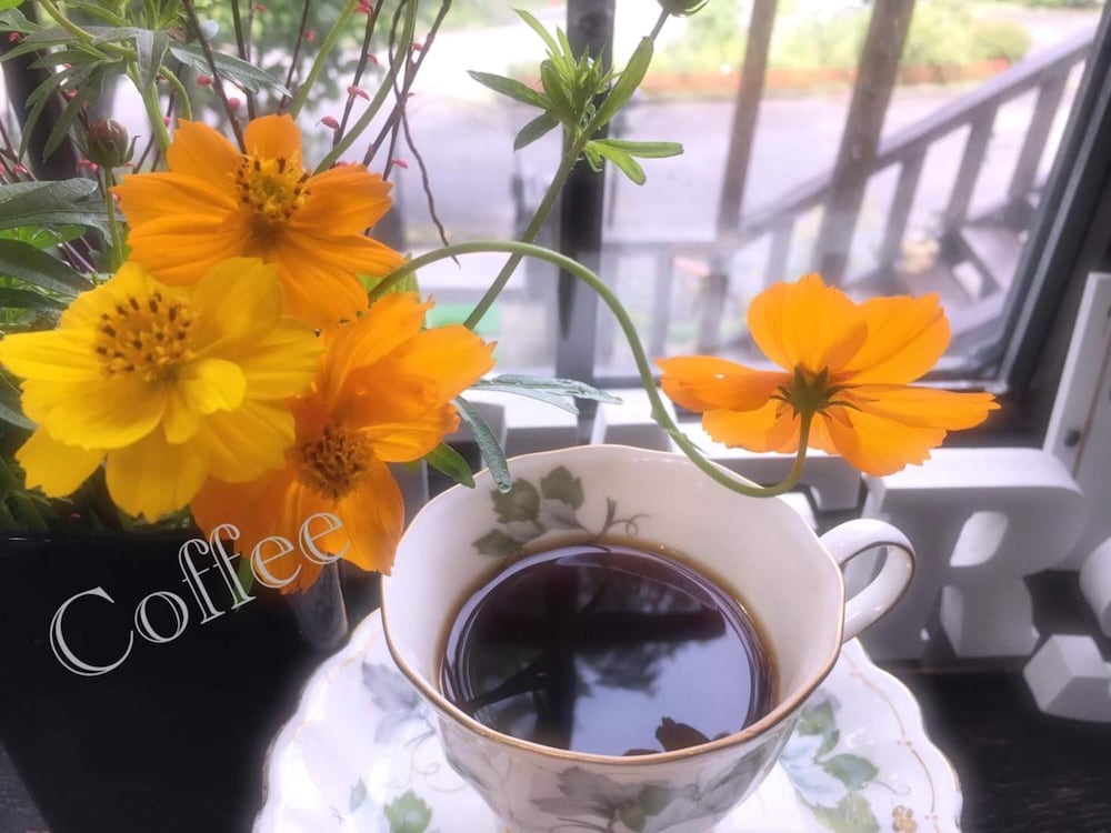 ペンション ワイルドフラワー 松本・軽井沢