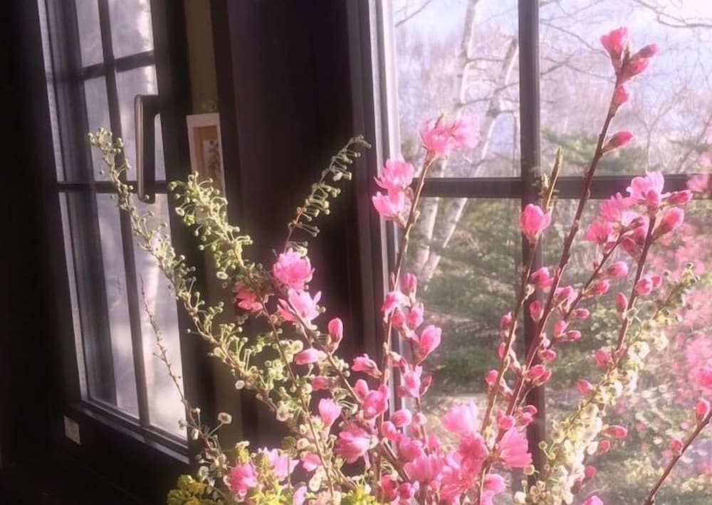 ペンション ワイルドフラワー 松本・軽井沢