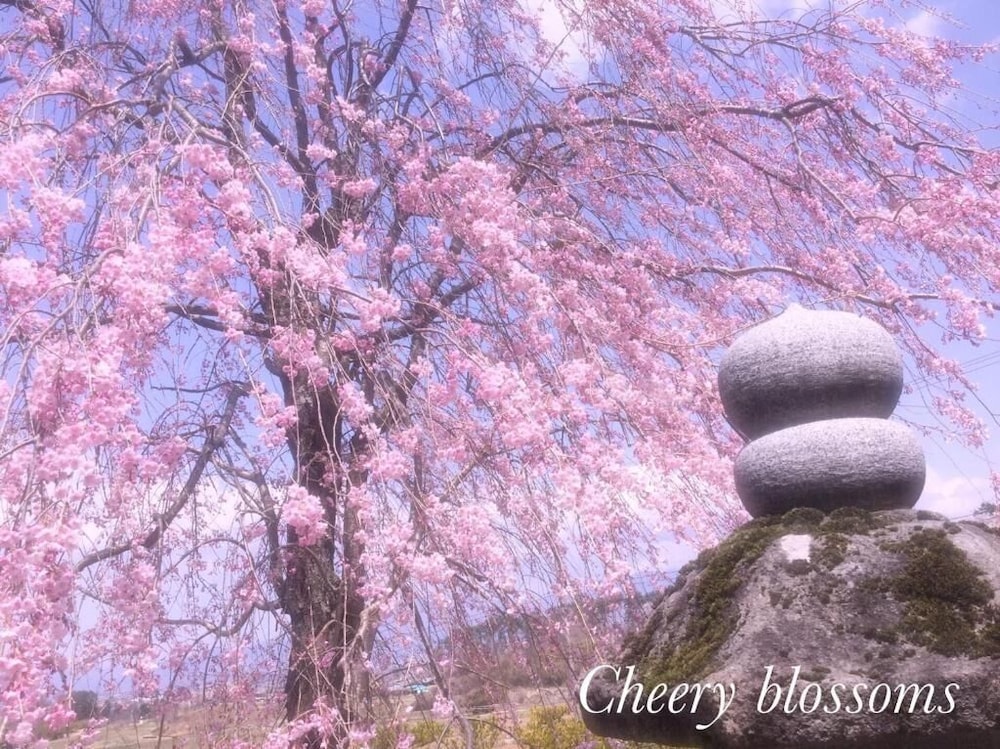 ペンション ワイルドフラワー 松本・軽井沢