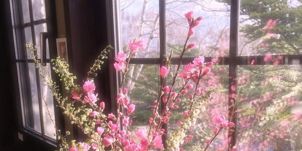 ペンション ワイルドフラワー 松本・軽井沢