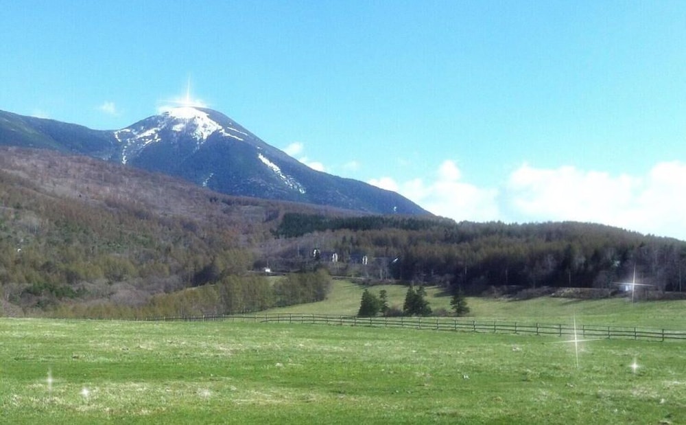 ペンション ワイルドフラワー 松本・軽井沢