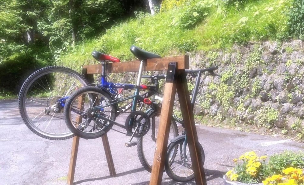 ペンション ワイルドフラワー 松本・軽井沢