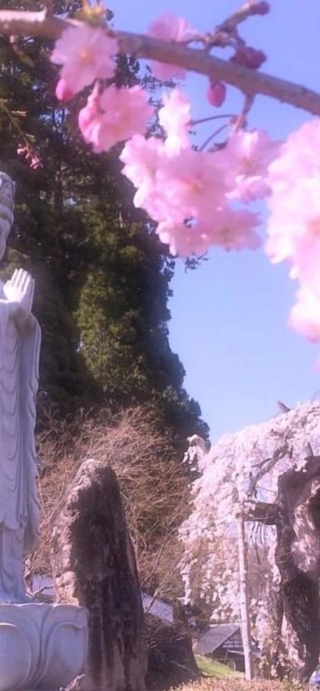 ペンション ワイルドフラワー 松本・軽井沢