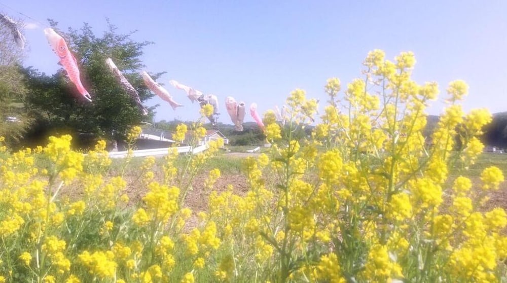 ペンション ワイルドフラワー 松本・軽井沢