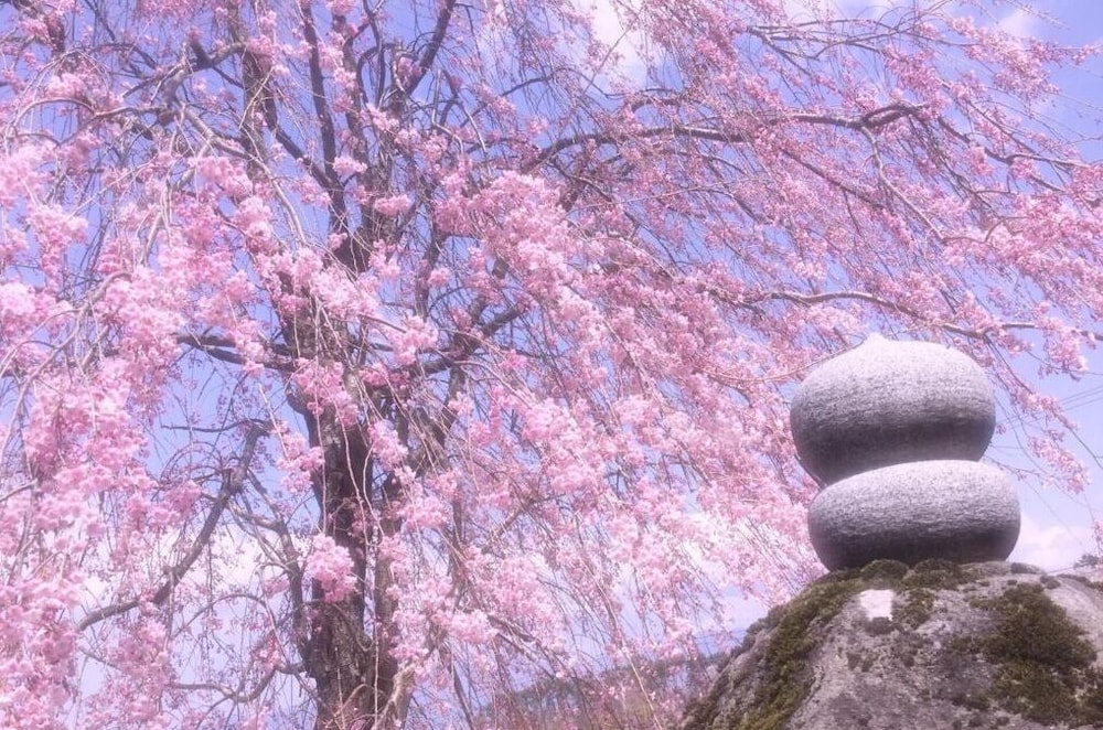 ペンション ワイルドフラワー 松本・軽井沢