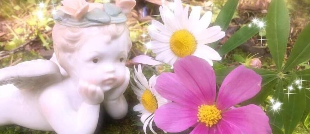 ペンション ワイルドフラワー 松本・軽井沢