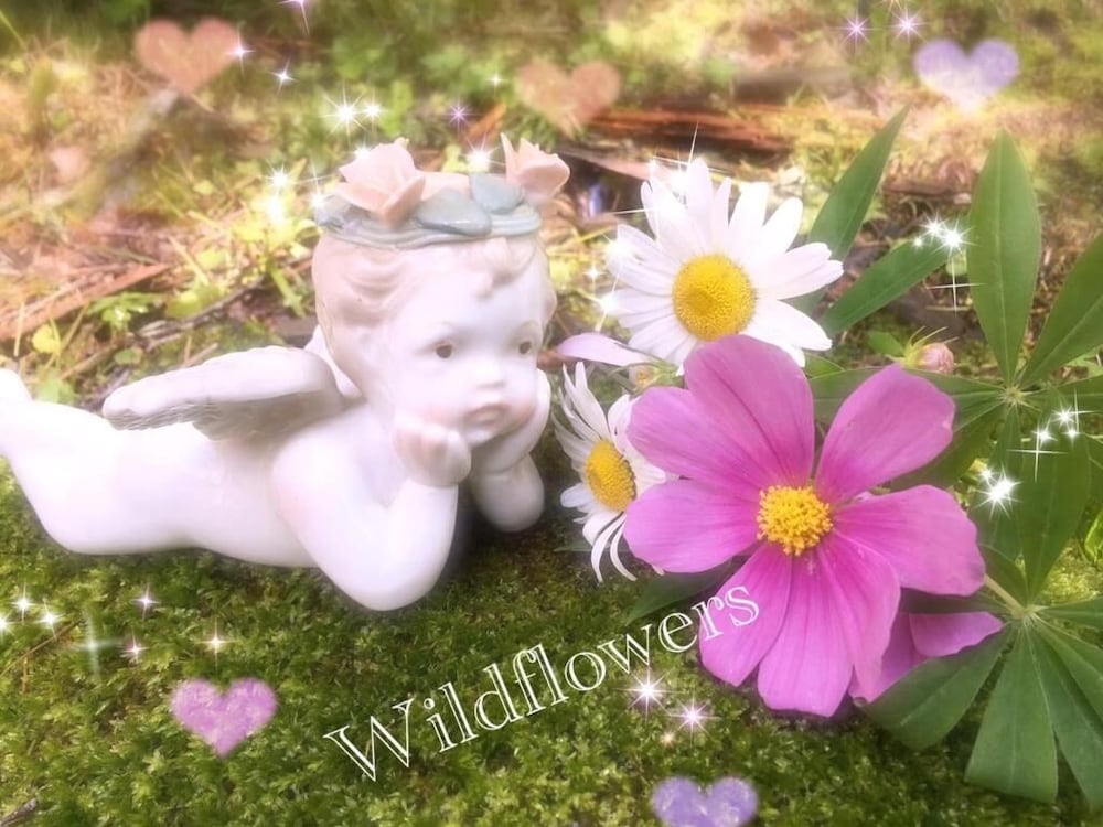 ペンション ワイルドフラワー 松本・軽井沢