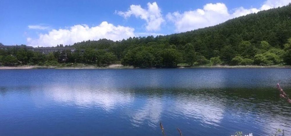 ペンション ワイルドフラワー 松本・軽井沢