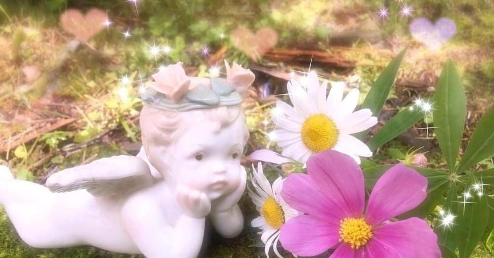 ペンション ワイルドフラワー 松本・軽井沢