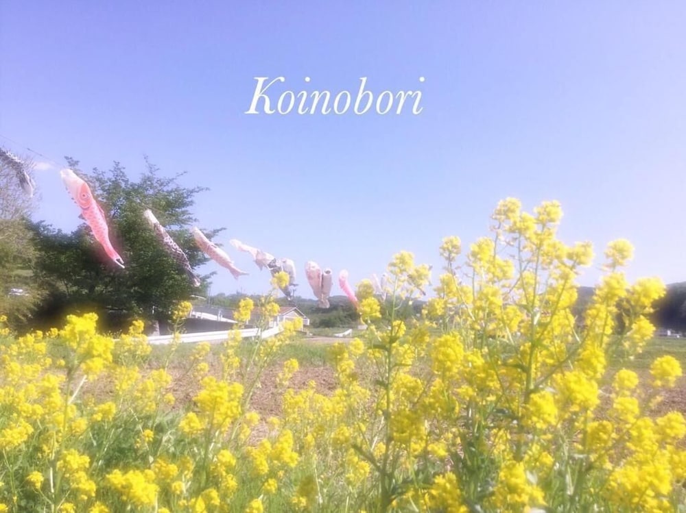 ペンション ワイルドフラワー 松本・軽井沢