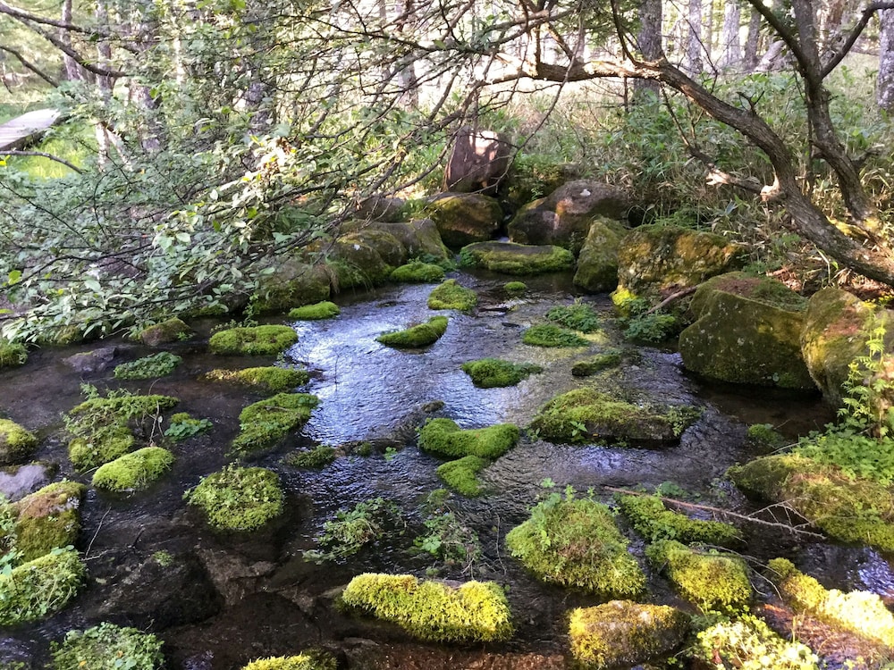 ペンション ワイルドフラワー 松本・軽井沢
