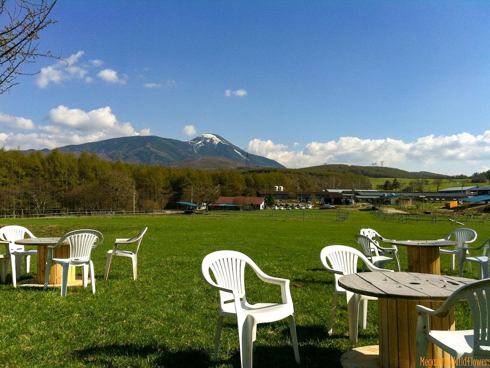 ペンション ワイルドフラワー 松本・軽井沢