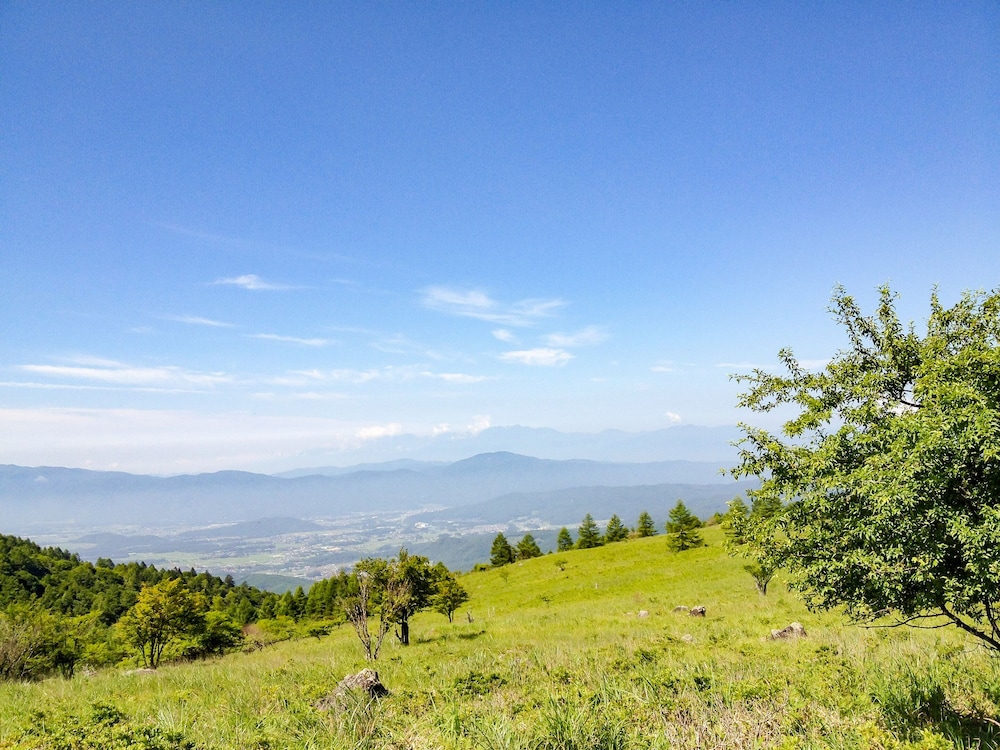ペンション ワイルドフラワー 松本・軽井沢