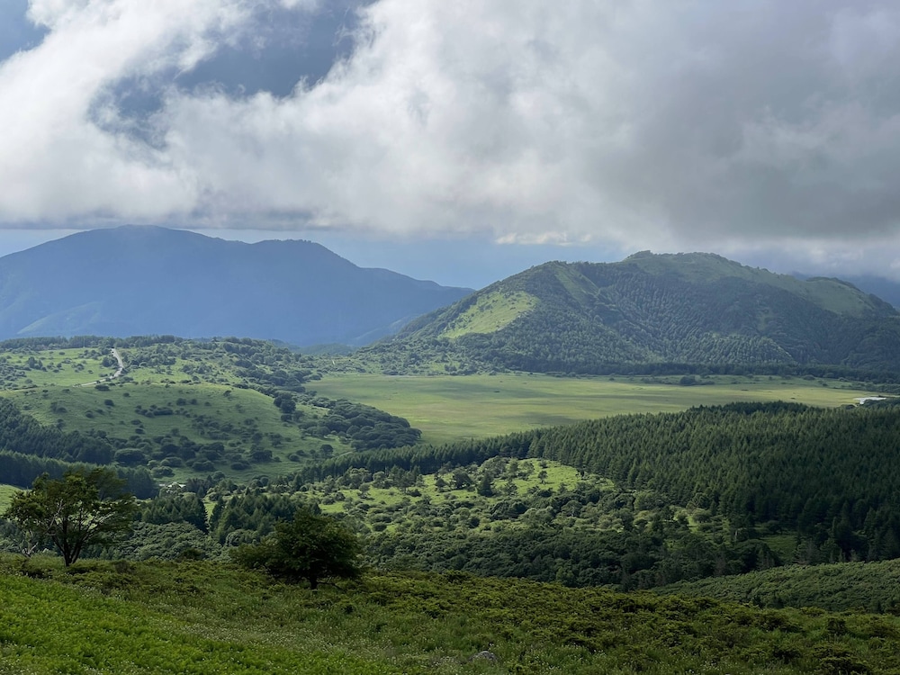 ペンション ワイルドフラワー 松本・軽井沢