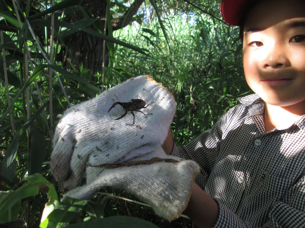 びっくりりえたん 松本・軽井沢