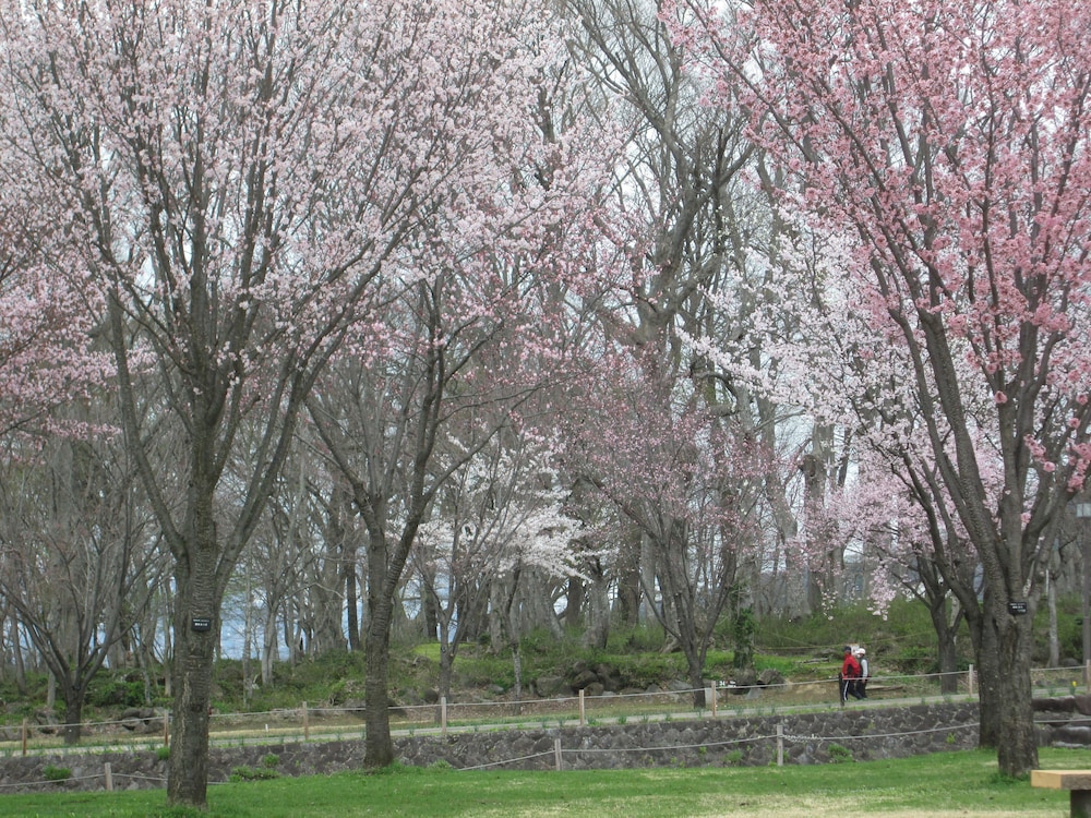 びっくりりえたん 松本・軽井沢