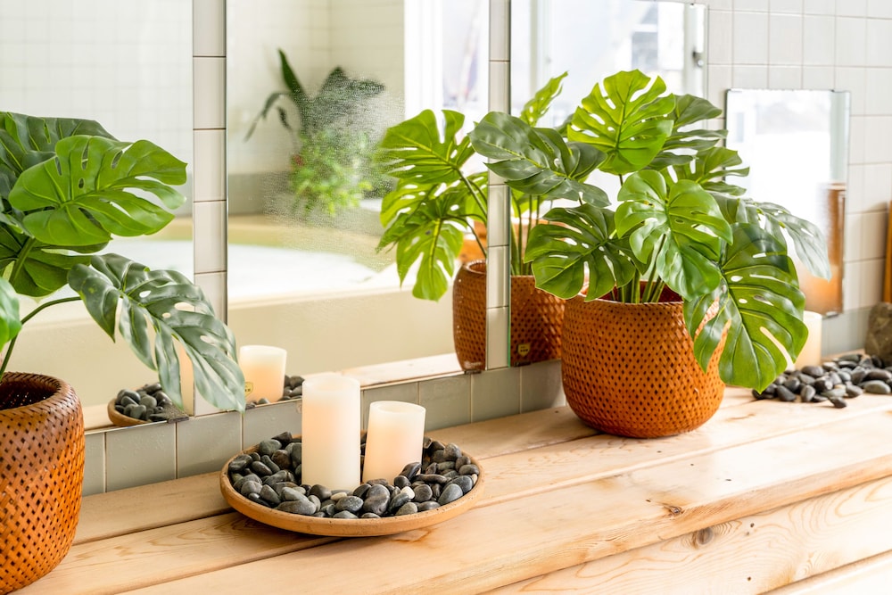 CANOPY CORTINA LODGE 松本・軽井沢