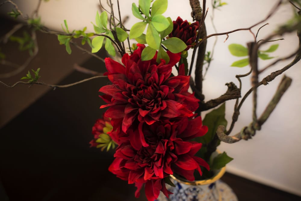 蓼科 親湯温泉 松本・軽井沢