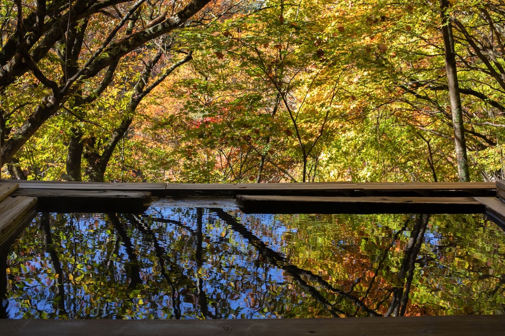蓼科 親湯温泉 松本・軽井沢