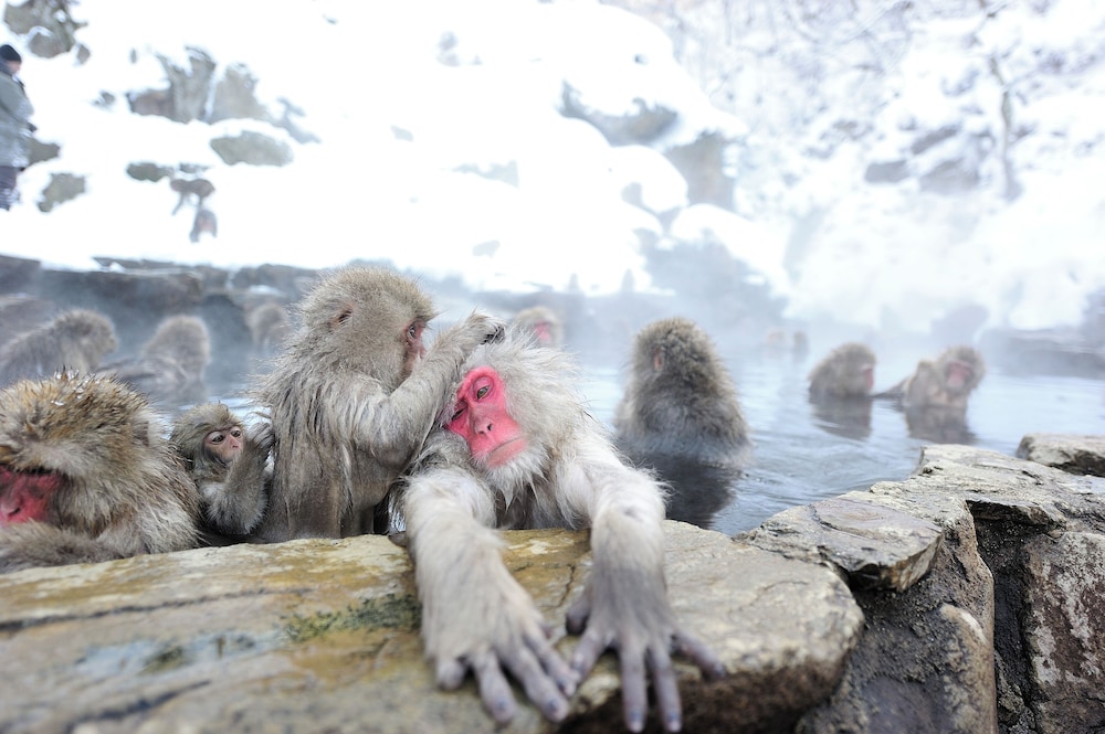 小石屋旅館 松本・軽井沢