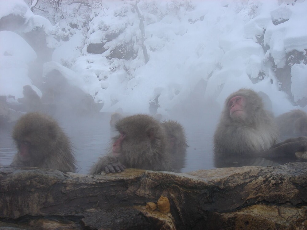 小石屋旅館 松本・軽井沢