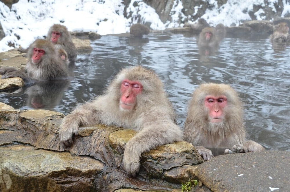 はくば MOEGI HOTEL 松本・軽井沢