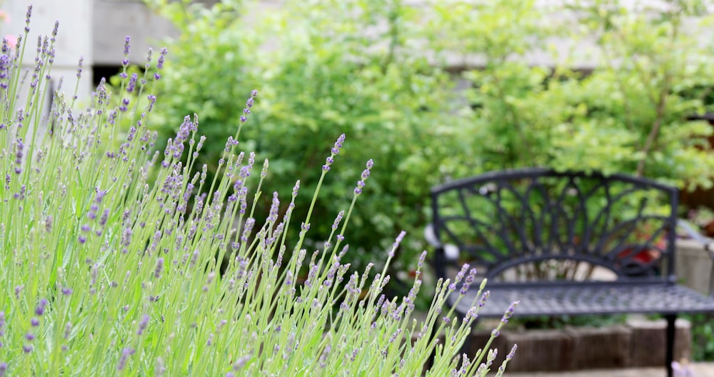 はくば MOEGI HOTEL 松本・軽井沢