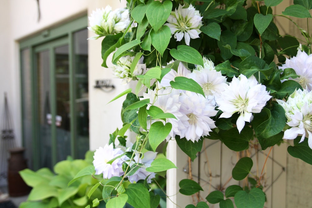 はくば MOEGI HOTEL 松本・軽井沢