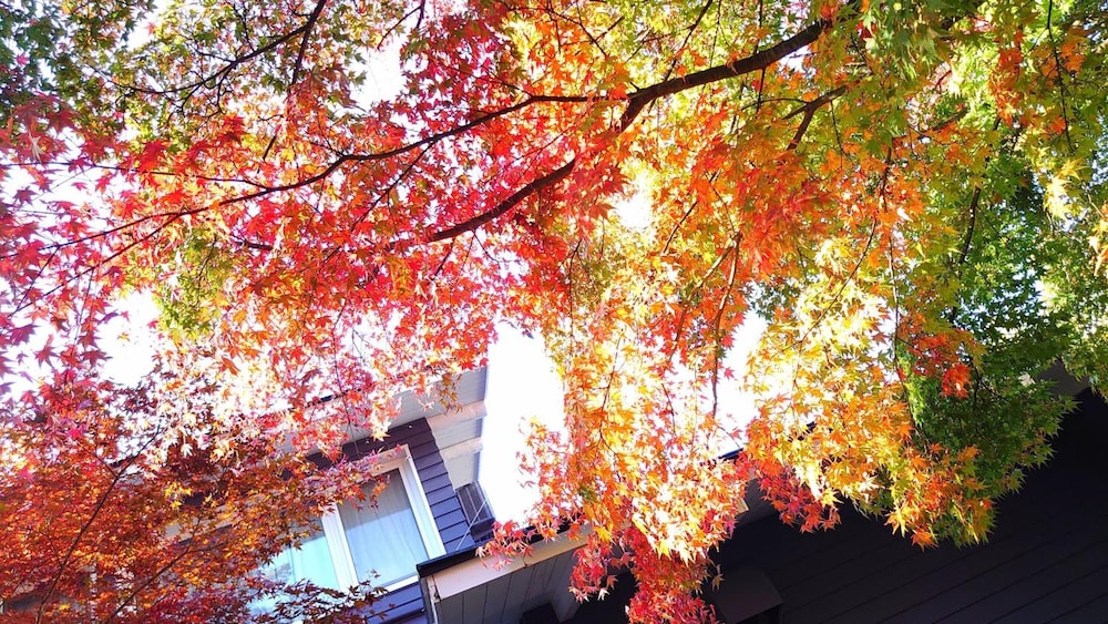 旧軽井沢ホテル 東雲 松本・軽井沢