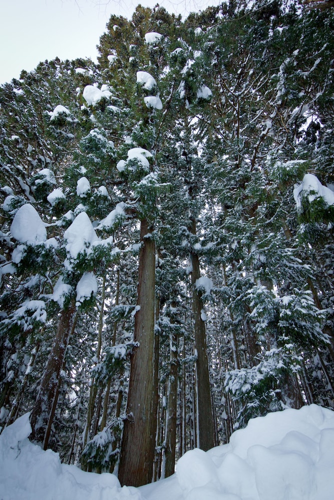 ガクト ヴィラス 松本・軽井沢
