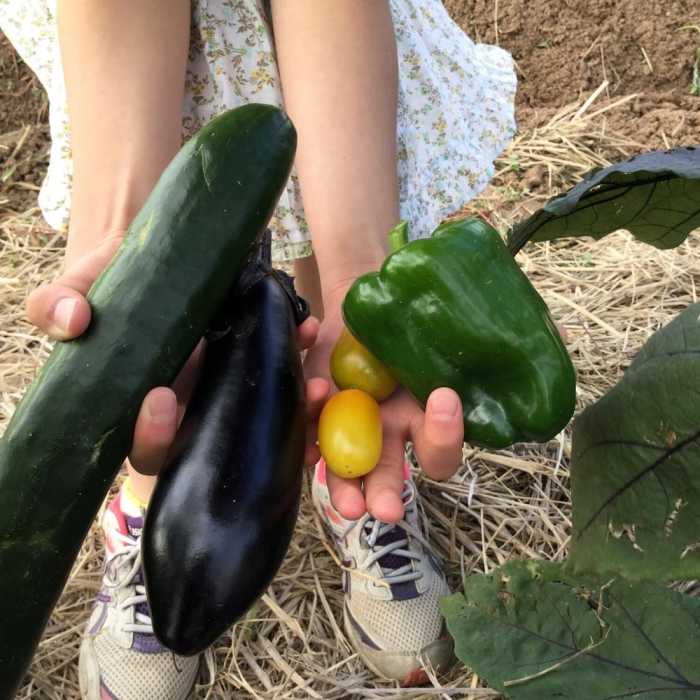 中山道芦田宿 一棟貸し たてしな あかりや 松本・軽井沢