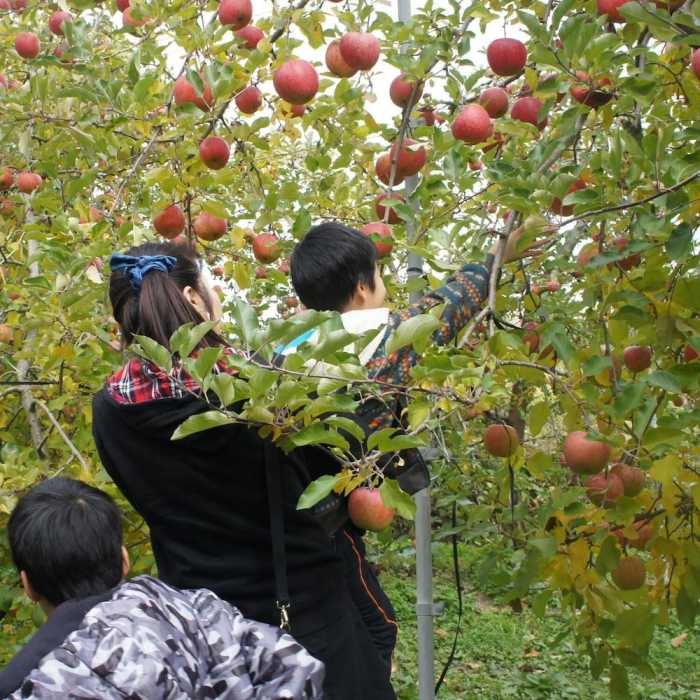 中山道芦田宿 一棟貸し たてしな あかりや 松本・軽井沢