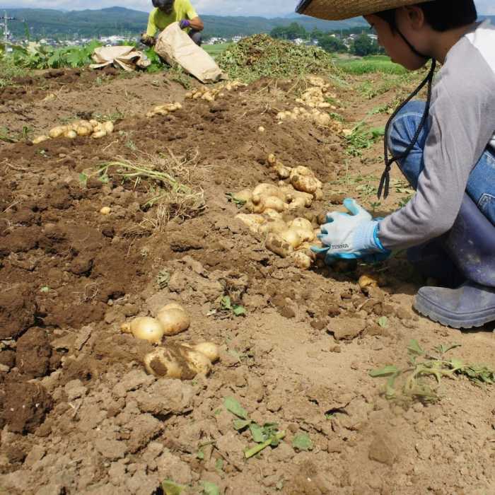 中山道芦田宿 一棟貸し たてしな あかりや 松本・軽井沢