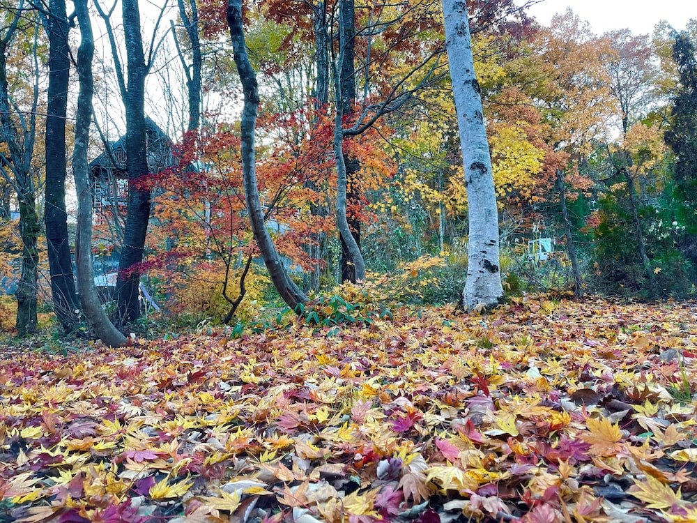 白馬 カナディアンロッジ 松本・軽井沢