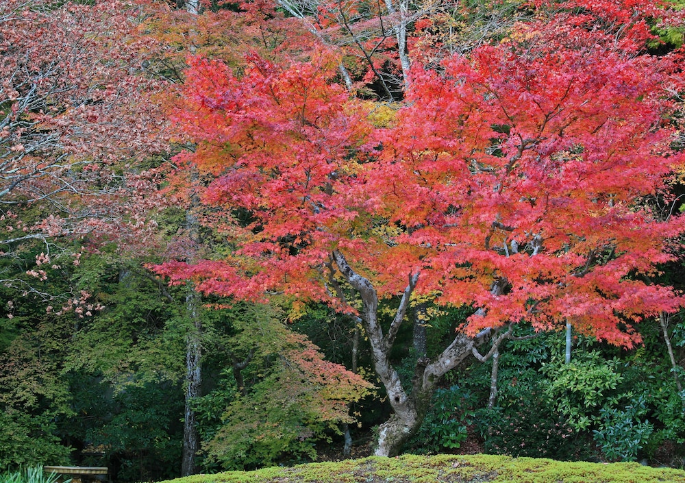 総持院 和歌山