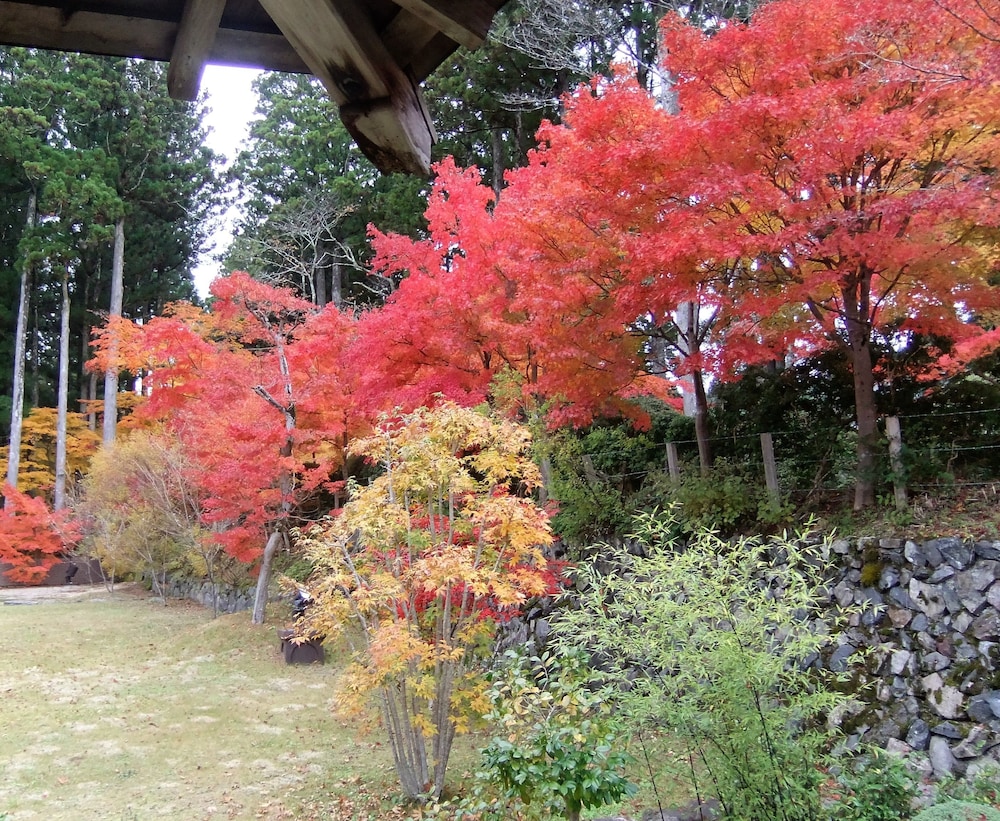 常喜院 和歌山