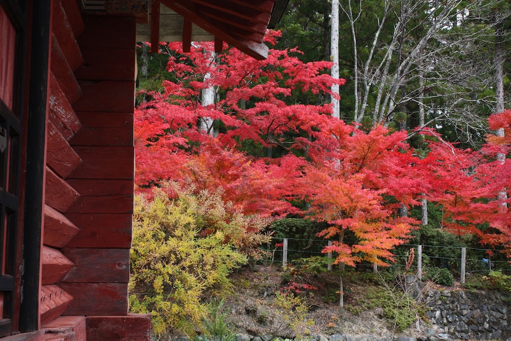 常喜院 和歌山