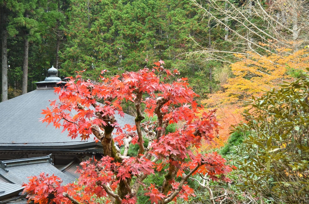高野山 宿坊 不動院 和歌山