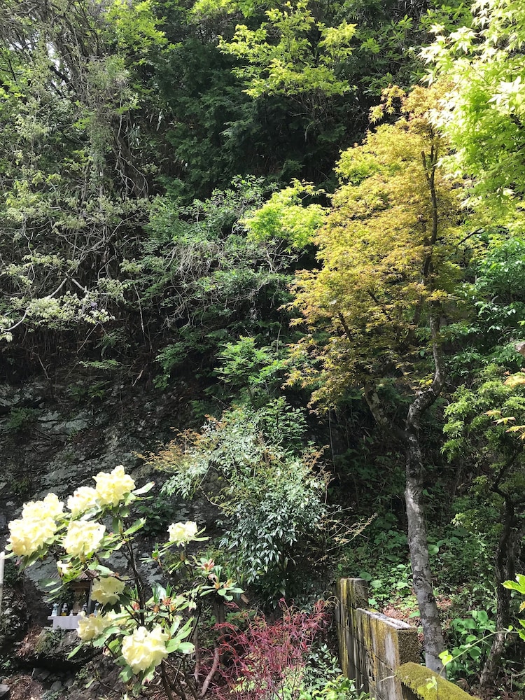 高野山ゲストハウストミー 和歌山