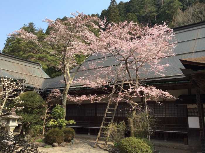 遍照光院 和歌山