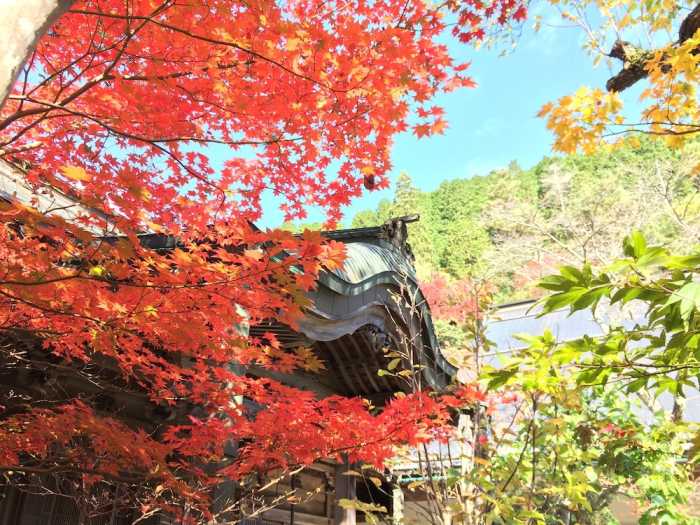 遍照光院 和歌山