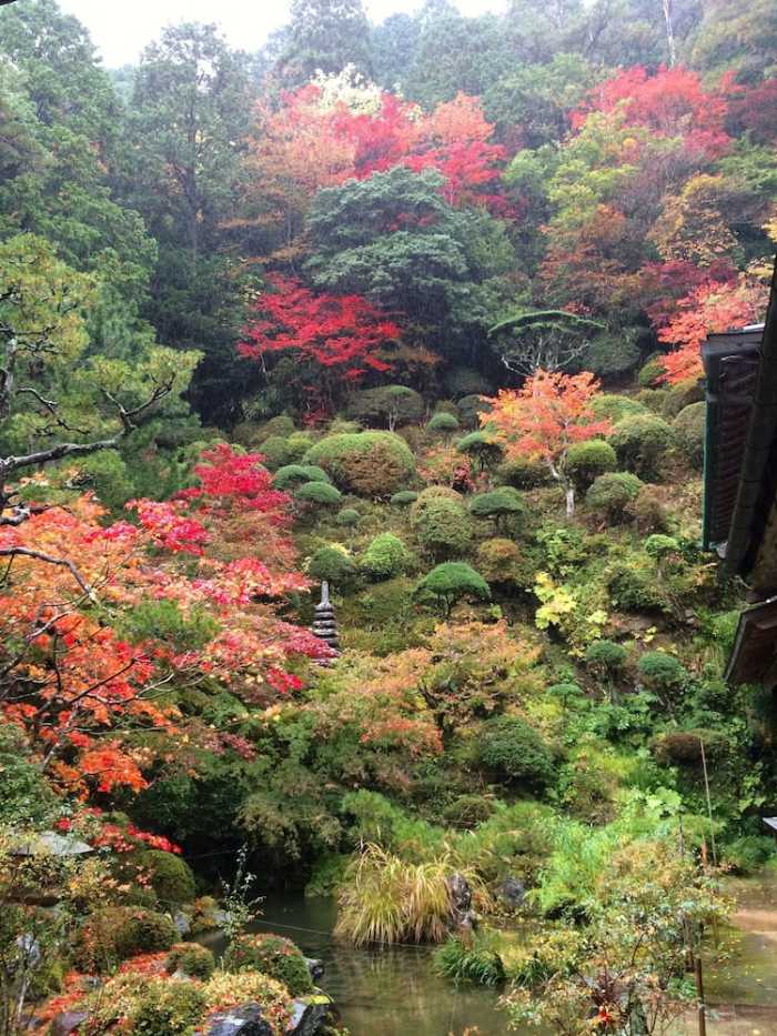 遍照光院 和歌山