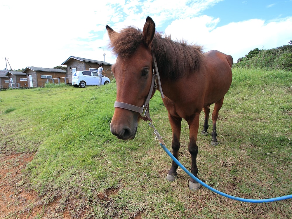 リゾート大島 和歌山